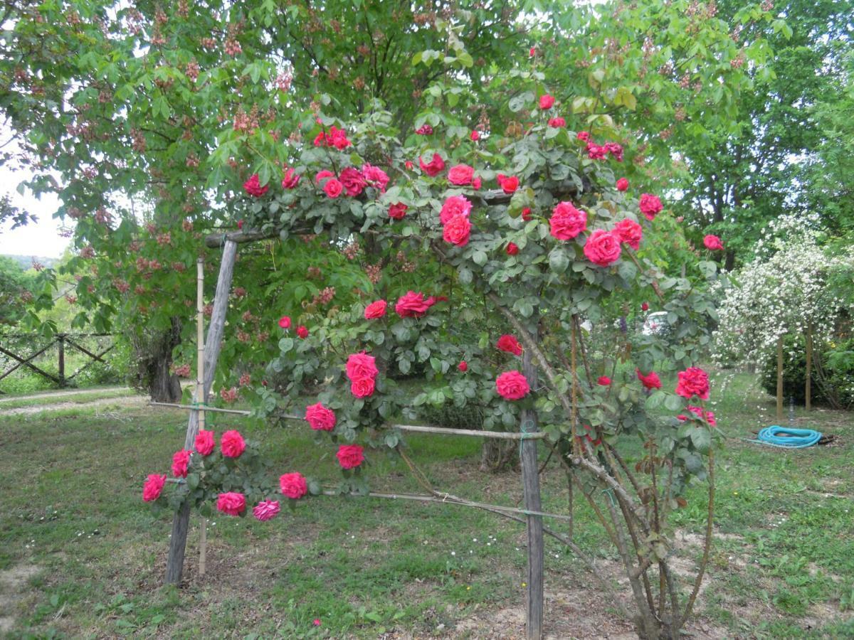 La Casa Delle Rose Villa Otricoli Ngoại thất bức ảnh